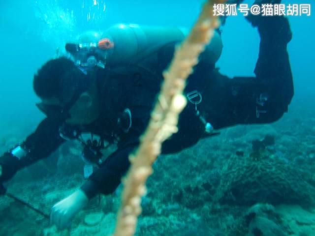 赛车计划2